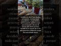 Calificaciones del Discipulo | Generosidad | 2 Corintios 9:6-7 | Wilderness Voice