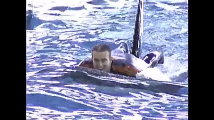 Seaworld Killer Whale Trainer: John Hargrove / Bri...