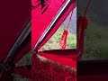 Views from the tent In Azerbaijan 🇦🇿 #hunting #wildlife #theexperience