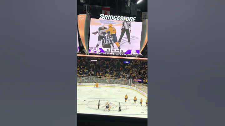 Predator’s hockey fight