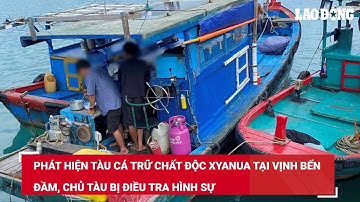 Phát hiện tàu cá trữ chất độc Xyanua tại Vịnh Bến Đầm, chủ tàu bị điều tra hình sự | Báo Lao Động