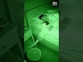 Cat Smells Severe Nosebleed, Wakes Owner to Prevent Aspiration | Night Vision 🩸👃 #Shorts