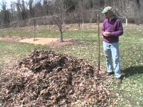 How to Make Leaf Mold