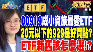 【精華】00919成小資族最愛ETF？20元以下的929都是好買點！？ETF募集吹起兄弟姊妹風 新舊該怎麼選！？#郭莉芳 @tvbsmoney 20240425