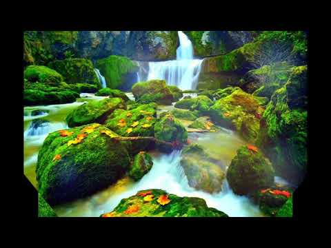 انشوده قم وحيدا