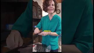 SPELLERS METHOD PER UNA COMUNICAZIONE FLUENTE E AUTONOMA NELL’AUTISMO NON VERBALE