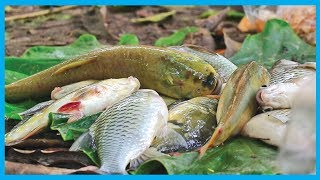 Best Fishing Tournament Village by Fishing Hook (Part 8) | Fish Corn