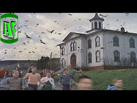 ფრინველების თავდასხმა ადამიანებზე რომელიც ჰიუსტონში მოხდა