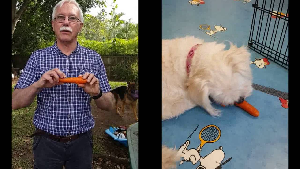 How to make a carrot bone for your dog