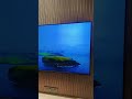 55"@led# #shortvideo #4ktv #samsungledtv #shortvideo
