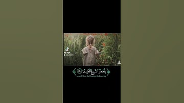 سورة الشعراء آية 217-222