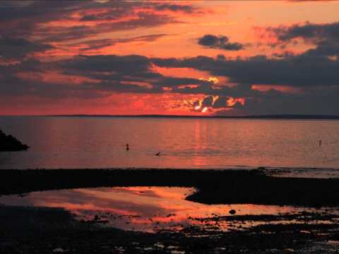 Optimism's Glow Video