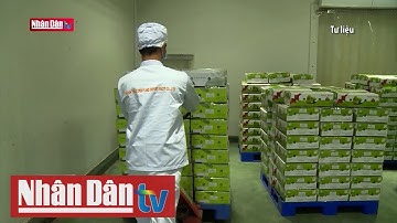 Tin kinh tế chiều 2/3: Hoa Kỳ nhập khẩu nông sản lớn nhất từ Việt Nam