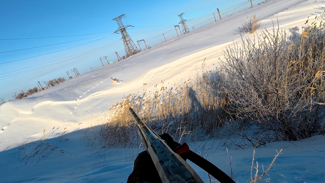 ATA Neo X и самозарядные патроны решают! Два зайца за охоту! 