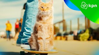 Blijf gaan met KPN Unlimited | het snelste 5G netwerk van Nederland