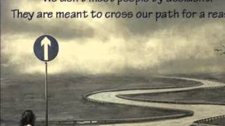The Not So Simple Life by Stephen Shea - Trailer