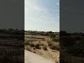 rajasthani vibes