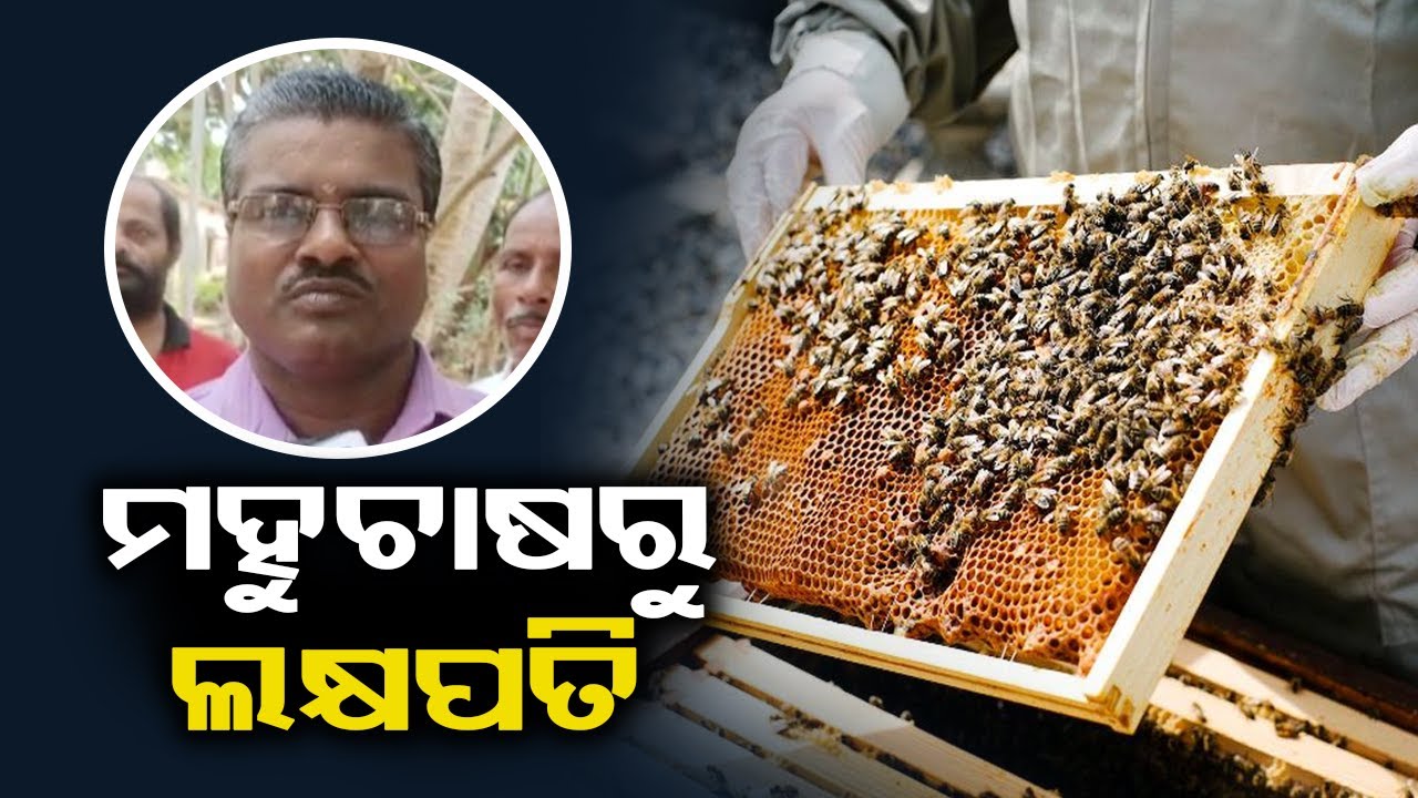 The successful story of this honey farmer is quite praiseworthy || Kalinga TV