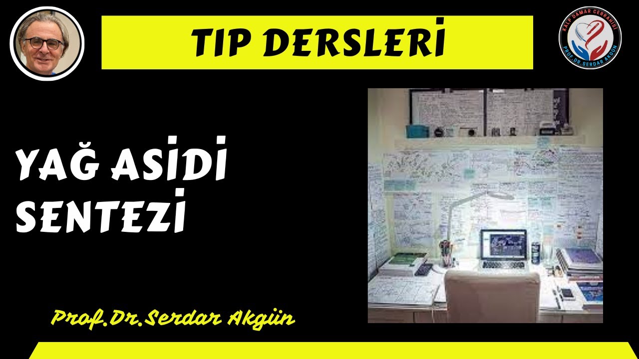 Yağ Asidi Sentezi, Ders, Serdar Akgün, Tıp Dersleri, Serdar Akgün Videoları