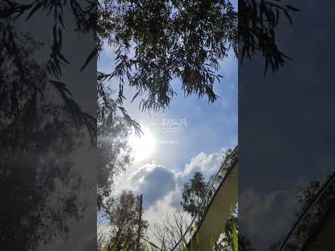 وهو على كل شيء قدير