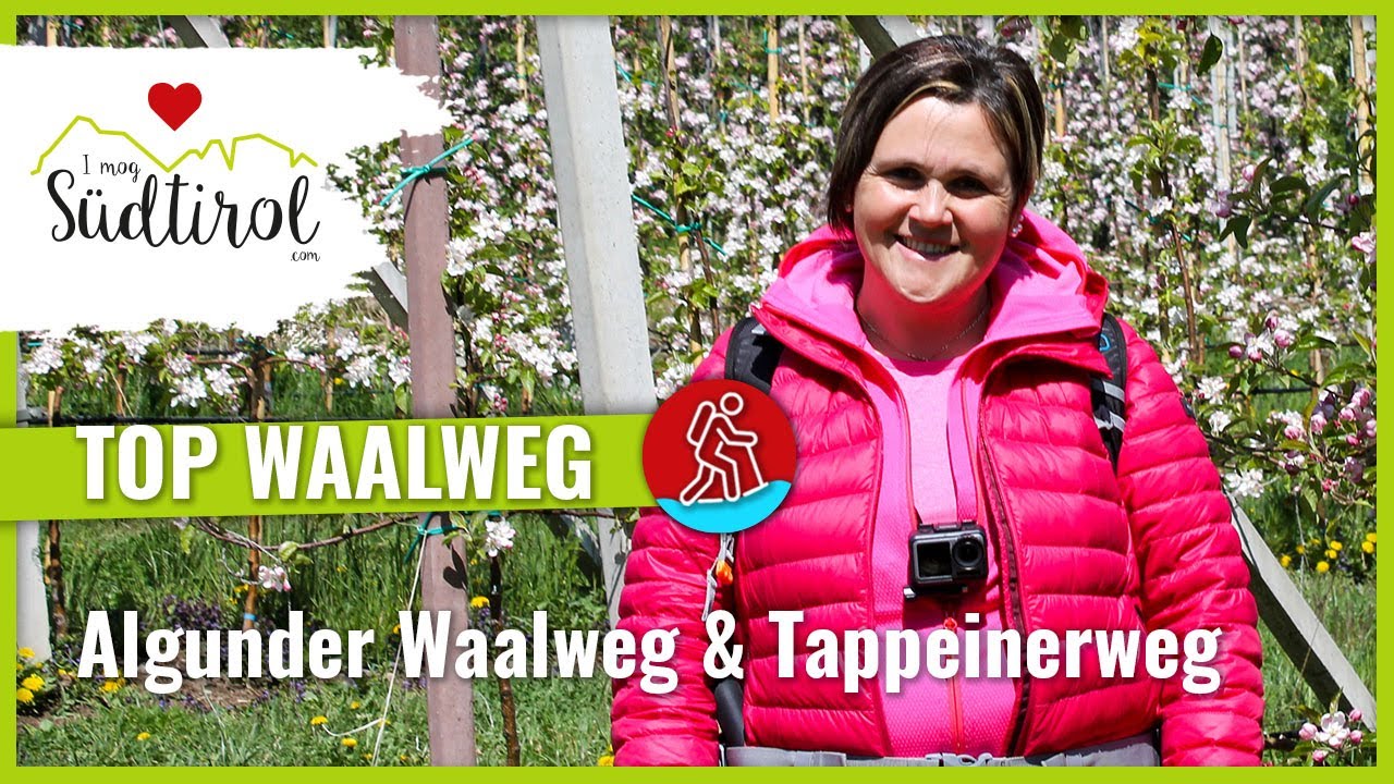 Der Algunder Waalweg und Tappeinerweg bei  Meran ❤️ die schönsten Wanderwege bei Meran