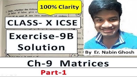 Exercise-9B Matrices Solution |10th ICSE maths Chapter 9 | Nabin Ghosh maths