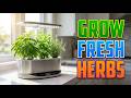 Top 5 Indoor Hydroponics Kits for Growing Herbs |