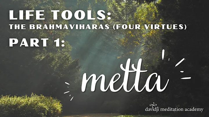 Source Life Tools Brahmavihara Metta | davidji