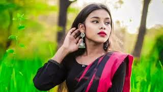 A director babu || new santali song 🎶 || sri sansda & dipanjali mandi || santali song 2026 