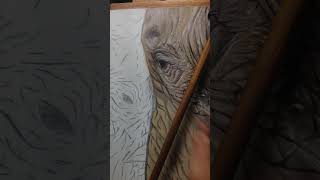 Painting Elephants IMG 2631