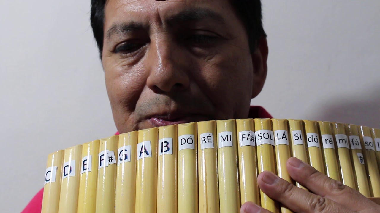 Flauta pan "cem ovelhas escala sol maior"