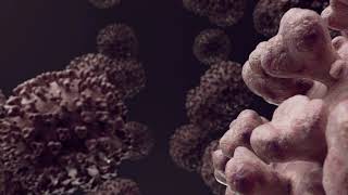 Covid 19 Coronavirus Delta Lambda Plus