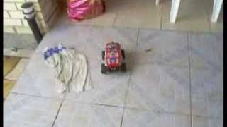 As Minhas Sobrinhas Brincado Na Piscina