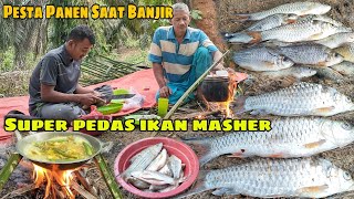 Harvest Festival || Super Spicy Fish Masher - Flood of Fish from the River Overflow