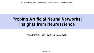 Probing ANNs: Insights from neuroscience