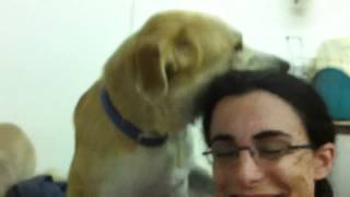 Theres Something About Shai