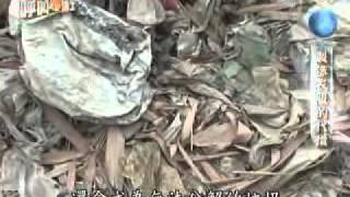 20100827-2《呼叫妙博士》貼身殺手─衣服