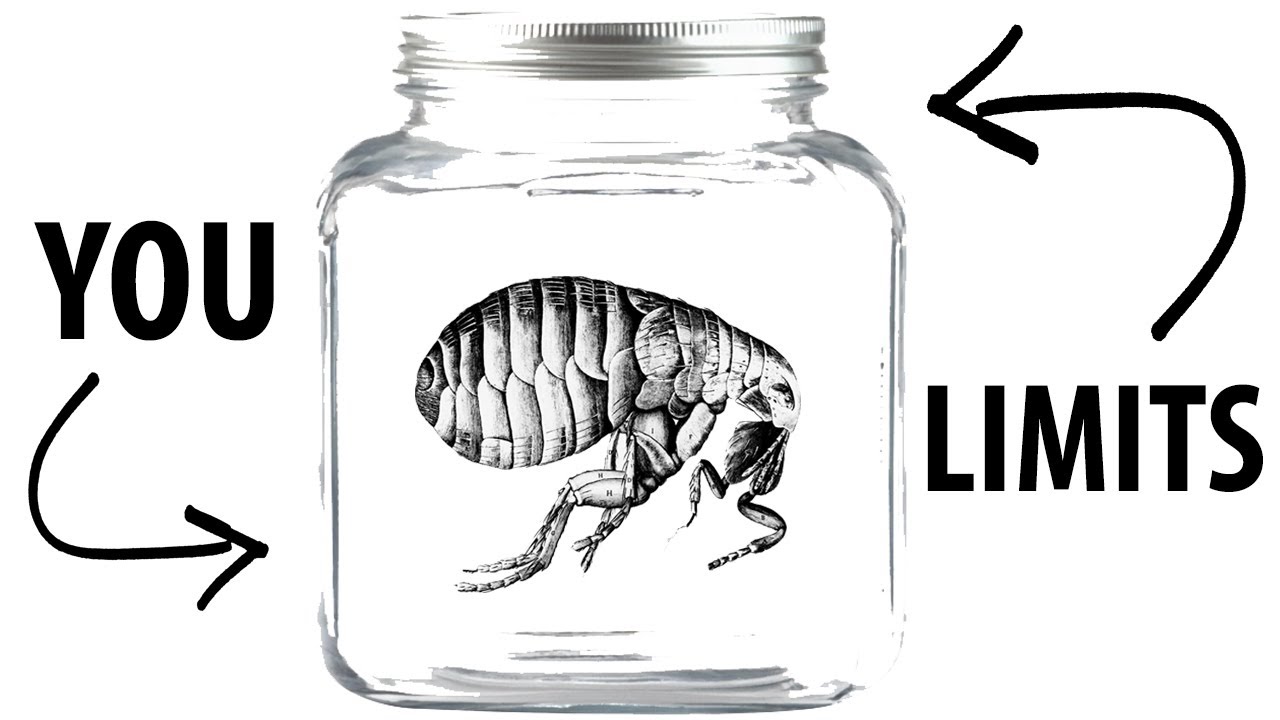 You are the flea in the mayonnaise jar (GENETICS RANT)