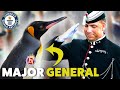 Meet Sir Nils Olav: The Norwegian Army's Penguin Officer - Guinness World Records