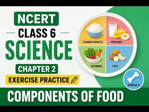 NCERT Class 6 Science, Chapter 2, Exercise 1, Question 3 Components of Food