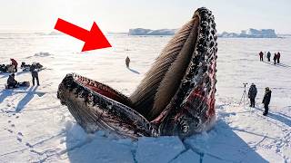 Antarctica's Ice Is Cracking — A 500ft Predator OLDER Than Megalodon Is Waking Up!