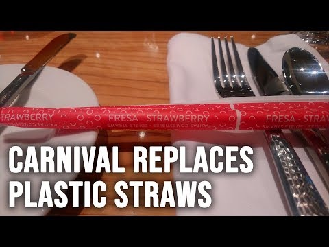 No More Plastic Straws On Carnival Cruises - VI Podcast