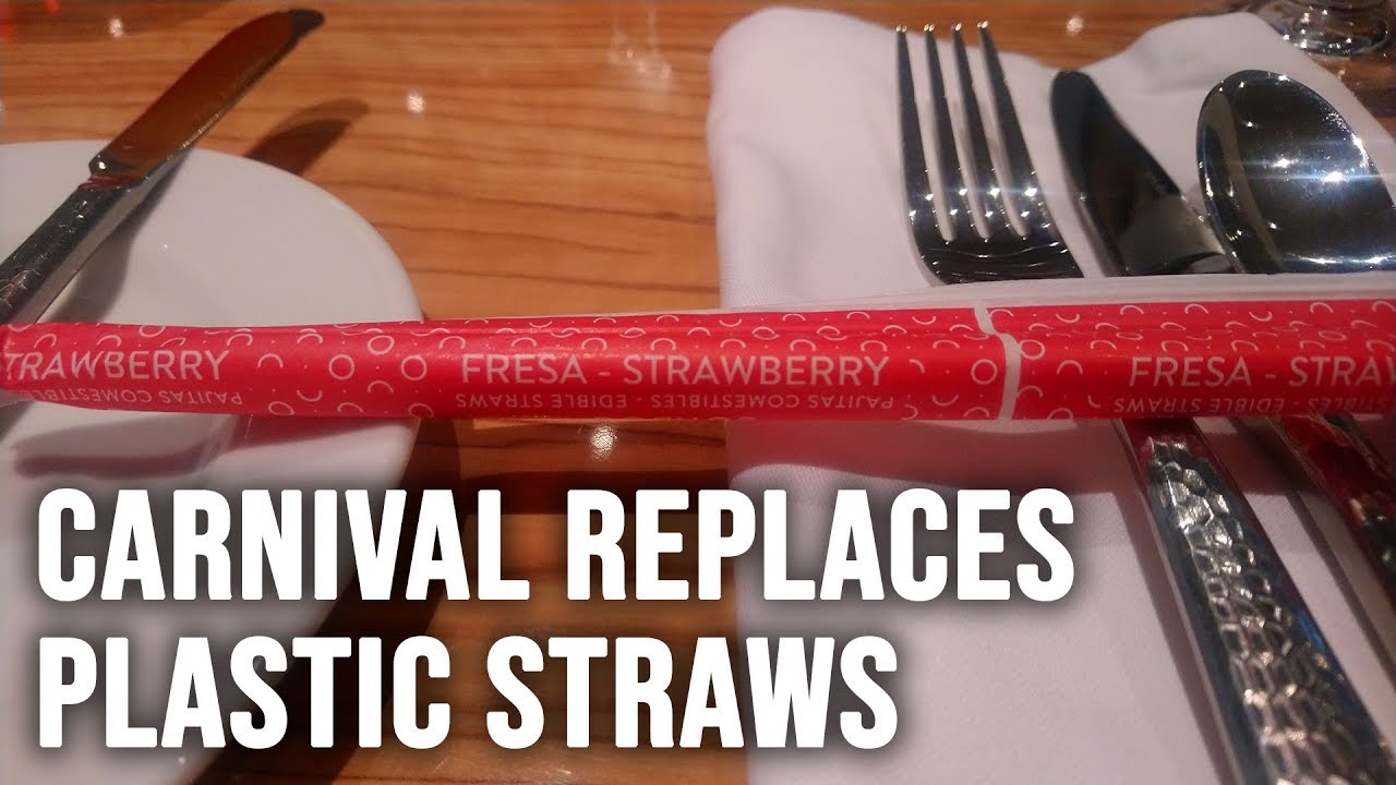 No More Plastic Straws On Carnival Cruises Edible Alternative YouTube