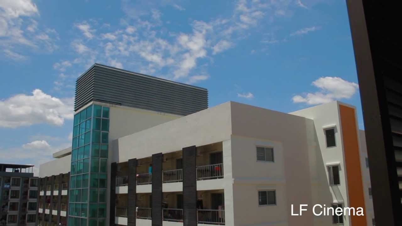 PictureStyle and RAW (LightForm C,N,Cinema,14bit RAW)