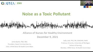Noise Pollution as a Public Health Issue