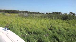 A WNJ Exclusive:  Barnegat Bay in the Balance