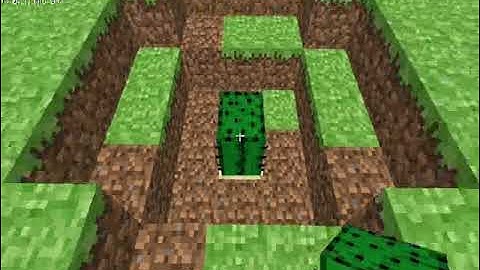 Minecraft Cactus Trap