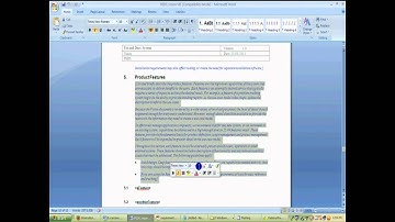 RequisitePro Tutorial part 12.mp4