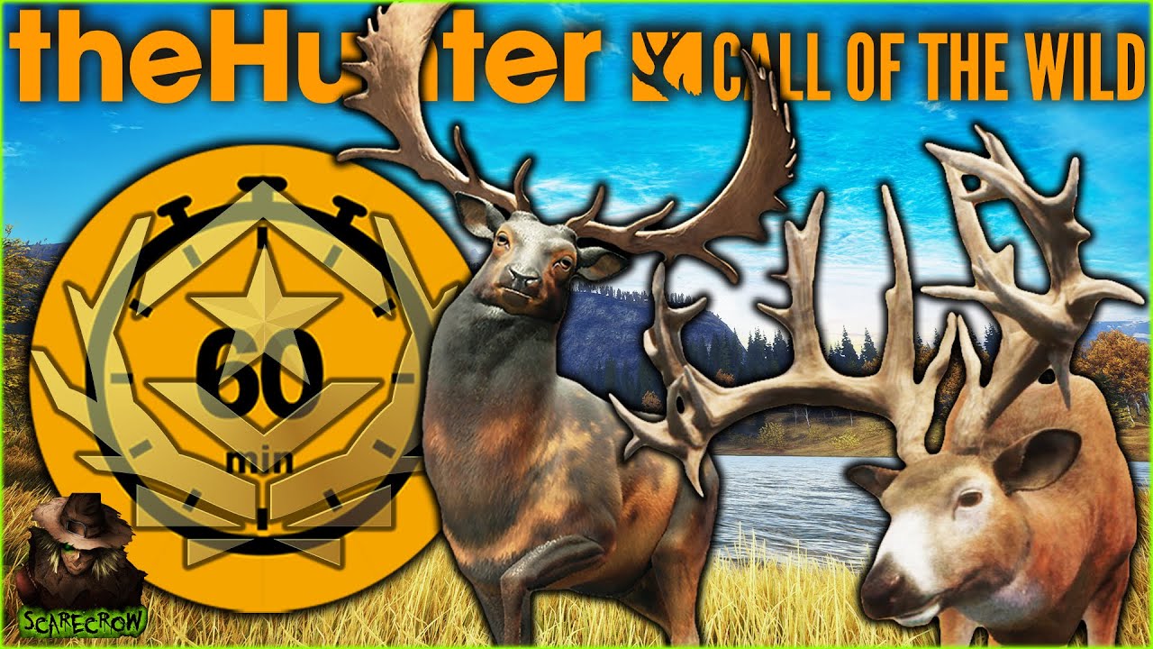 We MUST Get A Great One In 60 Minutes OR ELSE! Call of the wild