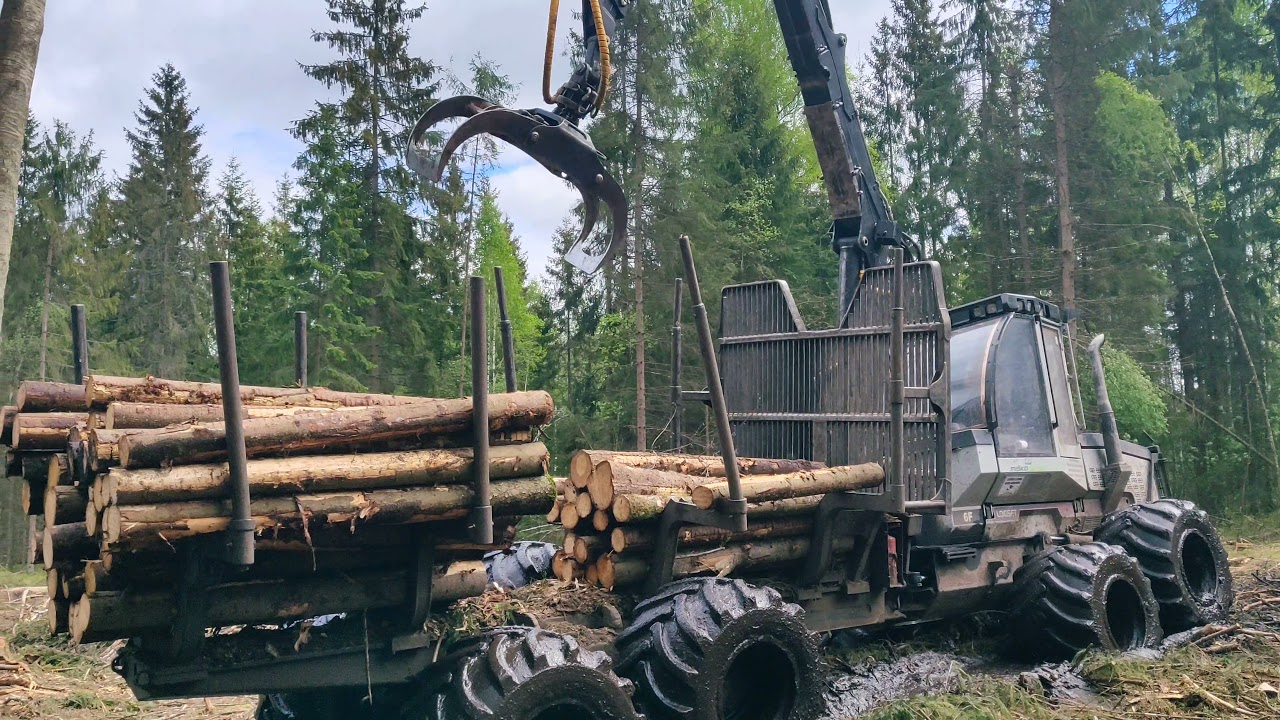 LOGSET 6F, muscular forwarder 🪖